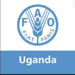Food and Agriculture Organization (FAO)