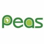 PEAS (Promoting Equality in African Schools)
